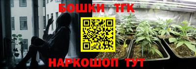 бошки Гагарин