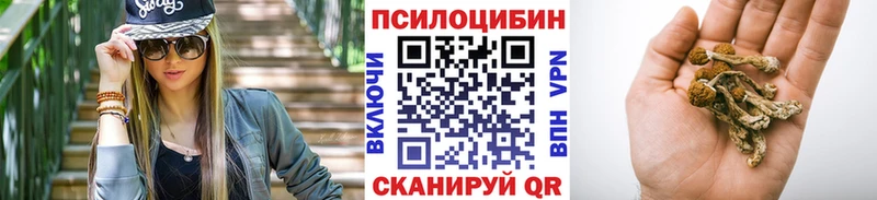 Галлюциногенные грибы Cubensis  Пыть-Ях 