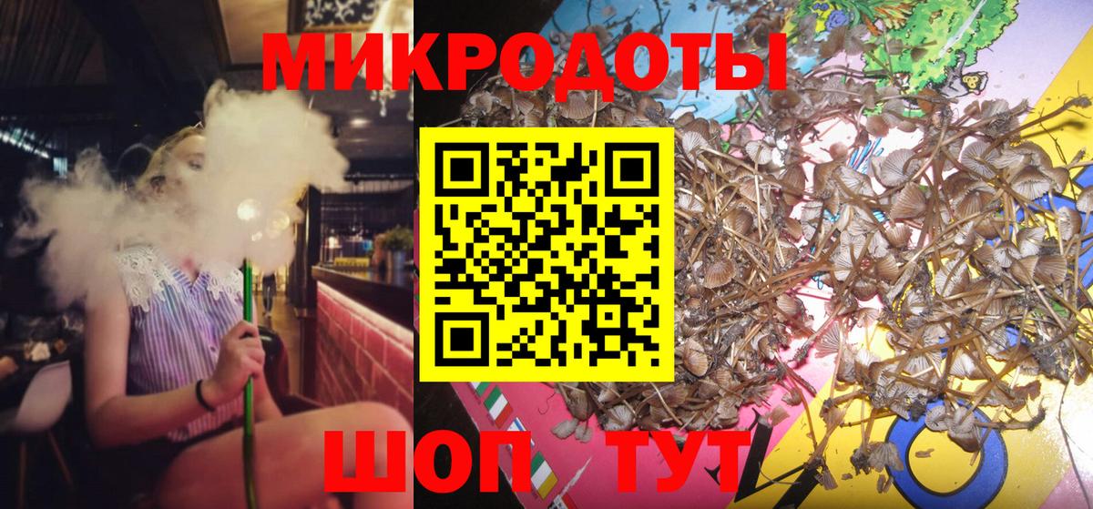 Галлюциногенные грибы Psilocybine cubensis  Пыть-Ях  Псилоцибиновые грибы Cubensis 