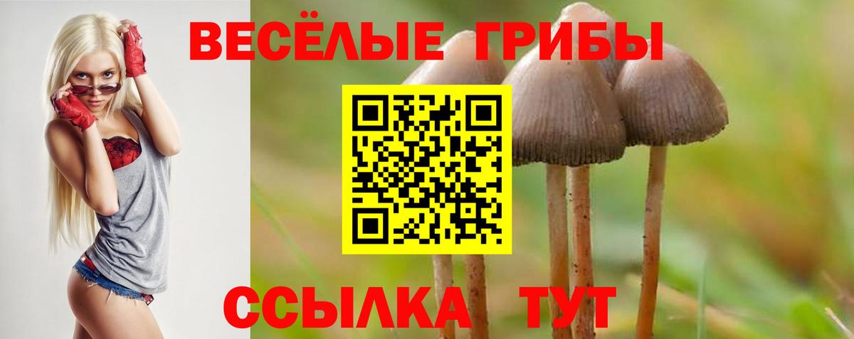 Пыть-Ях  Псилоцибиновые грибы Magic Shrooms  Вход с VPN 